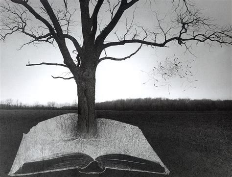 Book Tree Jerry Uelsmann Surrealism Photography Photomontage