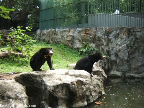 Dusit Zoo зоопарк Дусит городской зоопарк Бангкока Тайланд