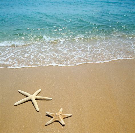 Starfish On A Beach Sand Nature Photos On Creative Market