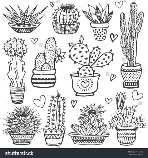 Cactus Doodle Set Hand Drawn Vector Illustration Sketch Collection Of