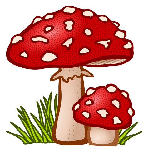 Mushroom Clipart Printable Picture Mushroom Clipart Printable