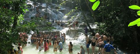 Jamaica Waterfalls Tours From Montego Bay And Falmouth