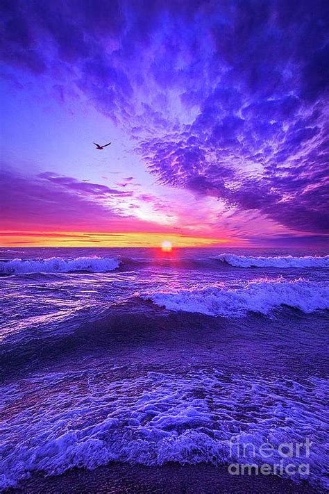 Sunset Photograph By World Best Fine Art America