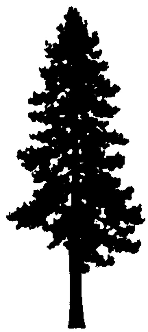 Download High Quality Pine Tree Clipart Tall Transparent Png Images