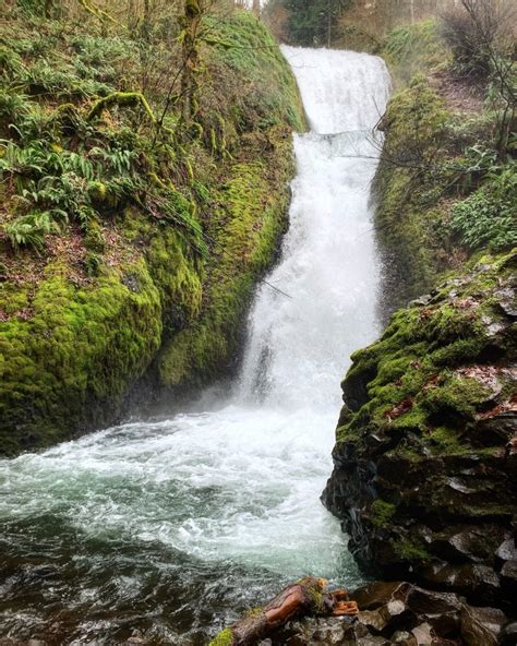 Most Accessible Waterfalls In The Columbia River Gorge Inspired