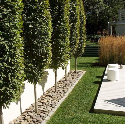 50 Simple Low Maintenance Front Yard Landscaping Ideas With Images