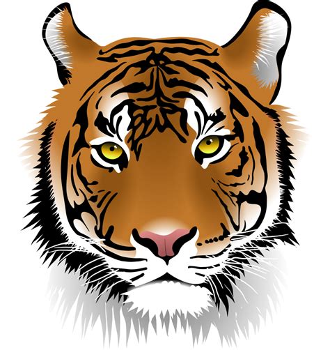Onlinelabels Clip Art Tiger Face