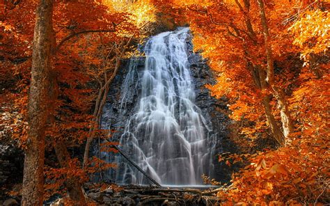 Rocks Waterfall In Autumn Golden Fall Beautiful Rocks Waterfall