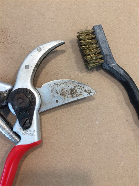 Cleaning My Pruning Shears Inspiration For This Website How To Nature