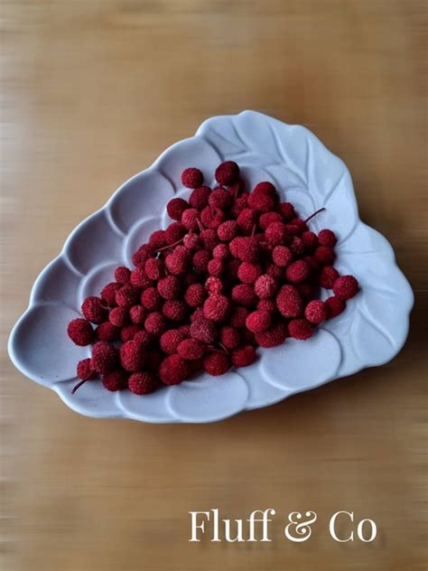 Bora Berries Red Dried For Craft Decoration Potpourri Etsy