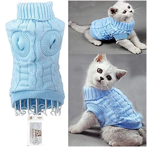 Gear Up In Feline Style With These Adorable Cats With Sweaters Images