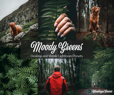 Grab the discount up to 35% off using promo codes. 10 Desktop and Mobile Lightroom Presets Moody Green ...