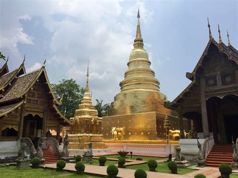 Southeast Asia Trip Report: Chiang Mai, Thailand ...
