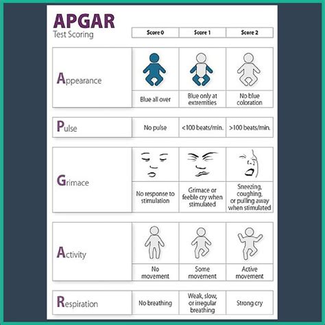 Apgar Score Apgar Score Nursing Mnemonics Virginia Apgar