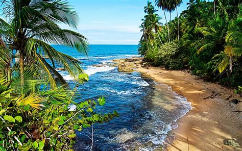 Living In Costa Rica Top 5 Locations To Consider In 2021 Escape Artist