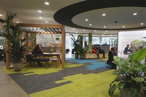 The Biophilic Office at BRE: The Value of Nature-Inspired Design