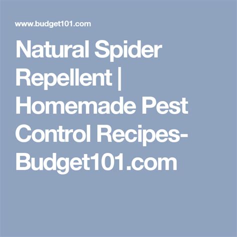 Many spiders are stealthy hunters and love to slip in and out of cracks, crevices, wall voids, corners, underneath and behind furniture. Spider Repellent- Keeping Black Widows and Brown Recluses ...
