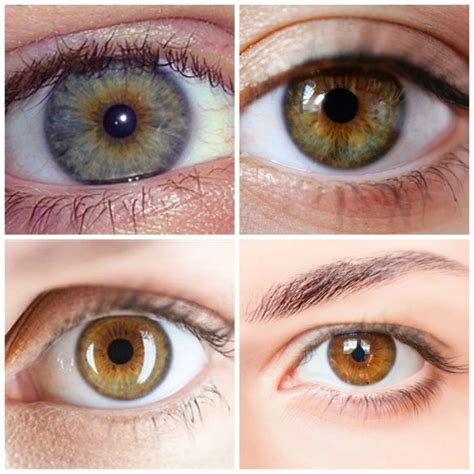 What Colors Are Hazel Eyes Quora