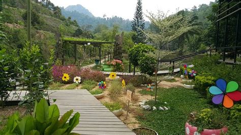 In valley agro park geweest? Valley Agro Park - Picture of Valley Agro Park, Bentong ...