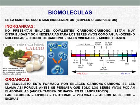 Biología Didáctica Nsc 4° Bioelementos Y Biomoléculas