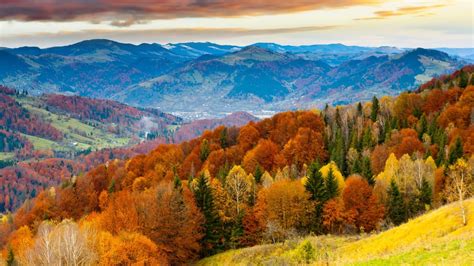 Colorful Forest On Mountain Autumn Landscape Colorful Landscape