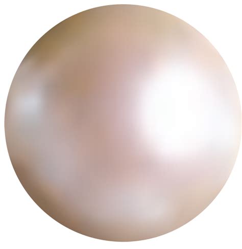 Pearl Png Transparent Image Download Size 650x669px