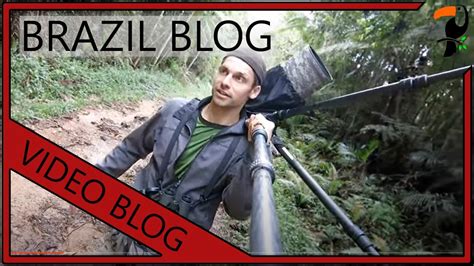 Video Blog Brazil By Wildlife Photographer Glenn
