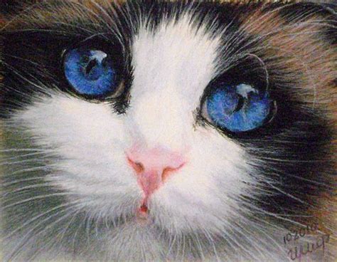 Blue Eyes Oil Pastel Art Pastel Art And Blue Eyes