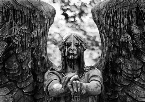 Weeping Angel Aaronalexa05 Flickr