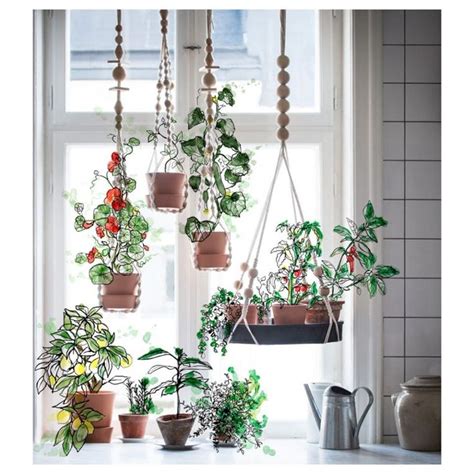 Best 14 Awesome Windows Hanging Plants Ideas 14 Awesome Windows Hanging