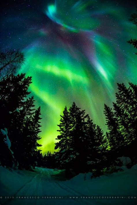 The Amazing Northern Lights Officially Known In The Northern