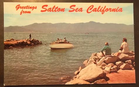 Rare Vintage Salton Sea Postcard 1950s60s California Jetty And