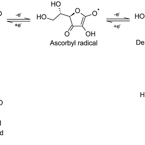 Ionization Of Ascorbic Acid Aa Followed By The Oxidation Reduction