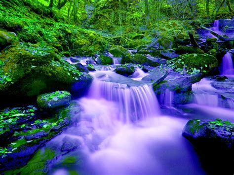 River Waterfall Cascade Green Forest Fall Rocks Green Moss Hd