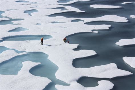 Arctic Sea Ice Levels Could Reach Historic Lows By The End Of The