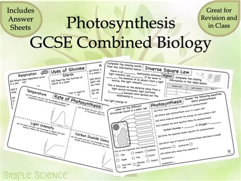 Photosynthesis Gcse Biology Worksheets Teaching Resources