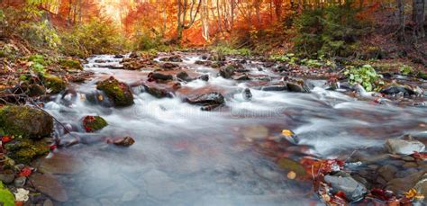 Autumn Forest Mountain Stream Beautiful Rocks Covered With Moss