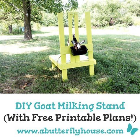 Diy mason jar goat milker under 30. DIY Goat Milking Stand (With Printable Plans!) - A Butterfly House
