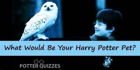 Harry Potter Pet Quiz Which Would You Take To Hogwarts