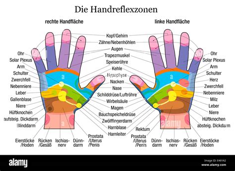 Printable Hand Reflexology Chart