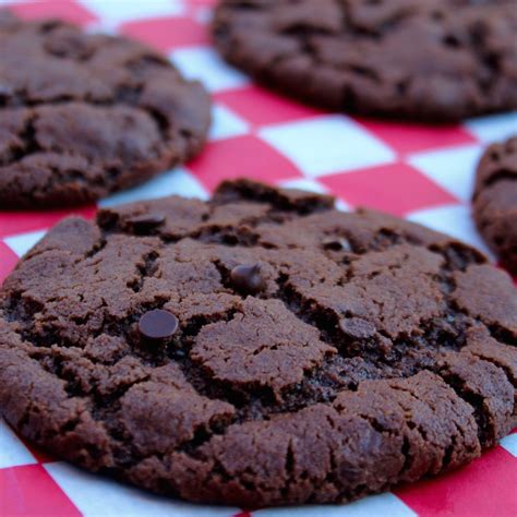 double chocolate chip cookie thick  chewy double chocolate cookies