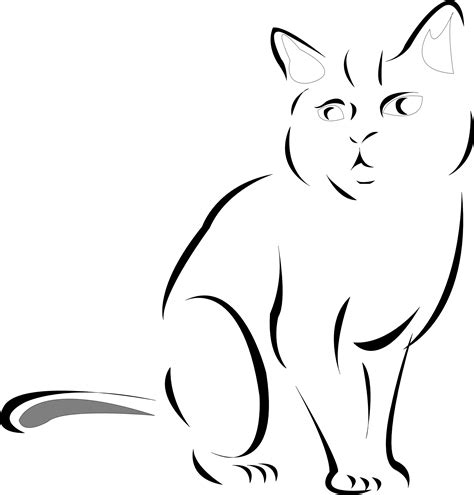 Black And White Cat Drawingcat Line Drawings Clipart Best Iiitmyf