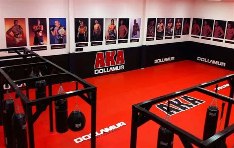 american kickboxing academy aka mma gym