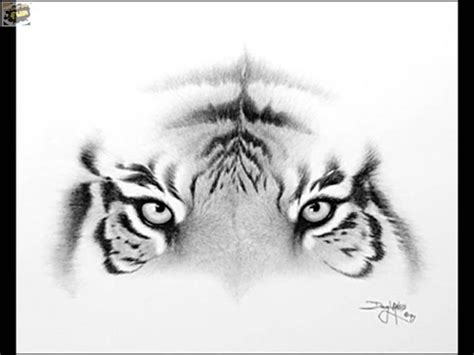 Desene in creion pe foaie is with andrew's arts and desene in creon. pisica-jpg1300204969 - Desene in creion cu animale - deeascumpik in 2020 | Tiger eyes tattoo ...