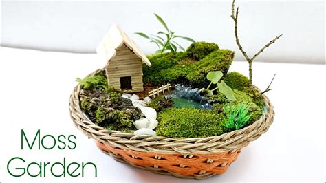 How To Make Moss Garden Miniature Moss Garden Youtube