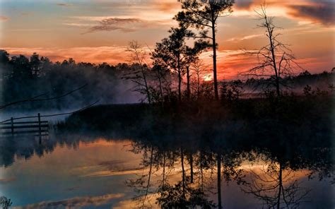 1400x875 Sunrise Mist Trees Swamp Reflection Nature Landscape Florida