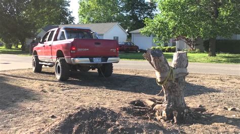 Diy Tree Stump Removal With A Truck Youtube