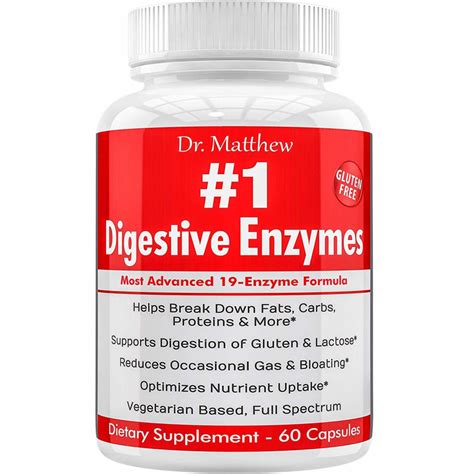 Top 10 Best Digestive Enzyme Brands Healthtrends