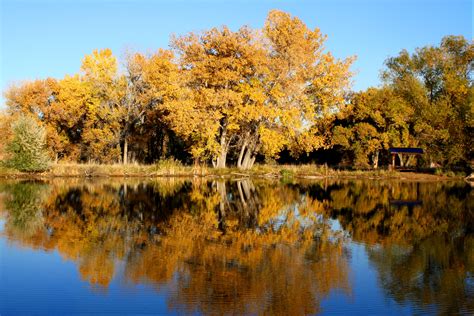 Fall Trees Reflected In Lake Picture Free Photograph Photos Public