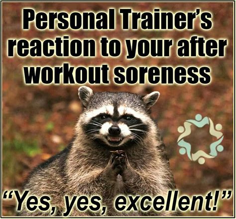 Pin By Anne Sacher On Gym And Fitness Workout Quotes Funny Workout